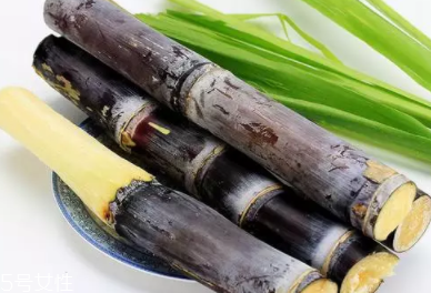 甘蔗的吃法有什么不同？吃法不同療效不同