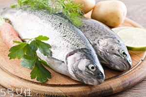 冬天吃魚有何禁忌？四大禁忌需注意