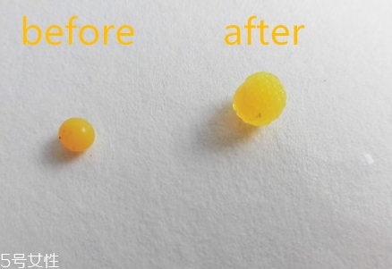 植物智慧護(hù)膚品價(jià)格表 一套價(jià)格很便宜 植物智慧護(hù)膚品價(jià)格表 一套價(jià)格很便宜