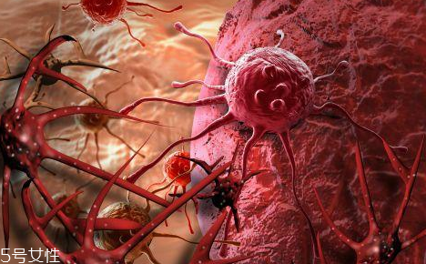 取病理真的是扯塊肉嗎？不疼也無傷害