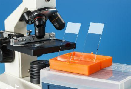 取病理真的是扯塊肉嗎？不疼也無傷害