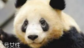 黑眼圈為什么睡夠了還是去不掉？體質(zhì)原因也會造成黑眼圈