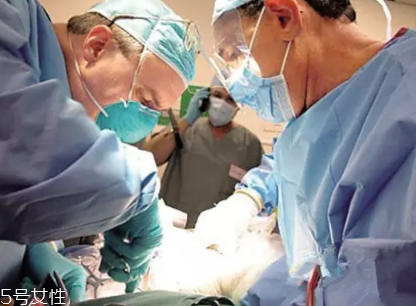 冷凍遺體能活過來嗎？木乃伊完全不可能蘇醒