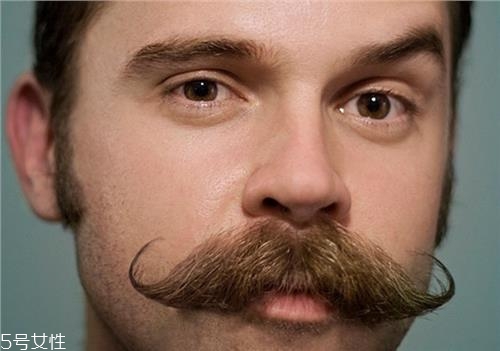 如何從男人的胡子看出疾?。亢宇伾顷P(guān)鍵