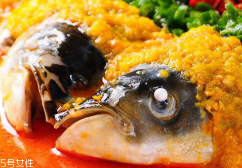 魚頭為什么會苦 可能是魚膽的原因 魚頭為什么會苦 可能是魚膽的原因