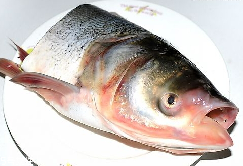 魚頭為什么會苦 可能是魚膽的原因 魚頭為什么會苦 可能是魚膽的原因