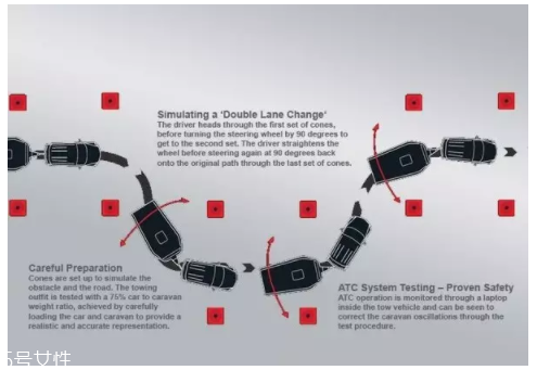 開(kāi)車前為什么要拍拍車蓋？預(yù)防傷害流浪小動(dòng)物