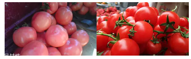 電子秤為什么要多按一個(gè)0？買(mǎi)菜要注意這個(gè)細(xì)節(jié)