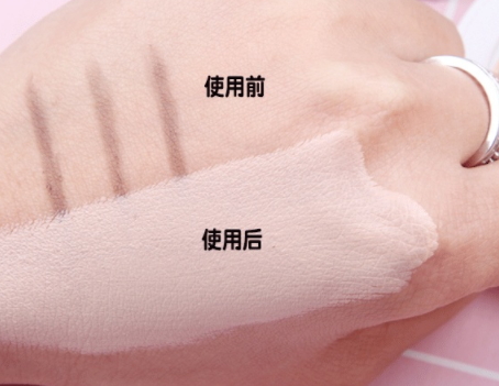 perfect skin雪花磁石氣墊有替換裝嗎？