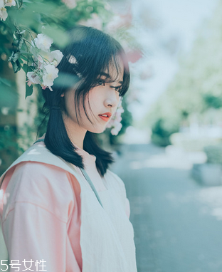 鹿胎膏會發(fā)胖嗎？鹿胎膏無致胖風險