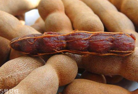 酸角是哪里的特產(chǎn) 中國(guó)是酸角著名產(chǎn)地 酸角是哪里的特產(chǎn) 中國(guó)是酸角著名產(chǎn)地