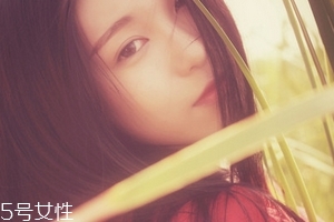 鹿胎膏能天天吃嗎？天天吃也不好