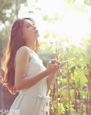 鹿胎膏可以促進(jìn)排卵嗎？關(guān)于排卵的那些事