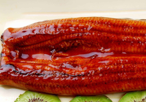 吃鰻魚會胖嗎 適量吃才行 吃鰻魚會胖嗎 適量吃才行