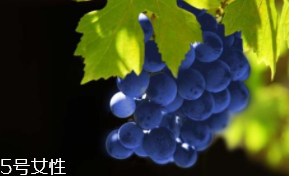 葡萄籽補劑要不要買？不如早睡早起