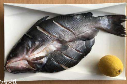 清江魚是什么魚 清江庫(kù)區(qū)長(zhǎng)大的魚