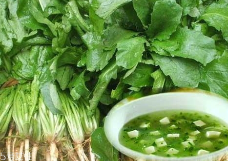 薺菜能和木耳一起吃嗎？一起吃好處多多