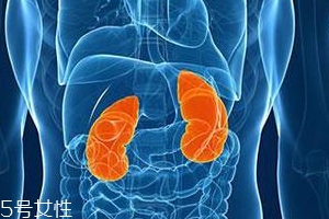 喝完水就尿腎不好嗎？正常人在白天排尿6次左右