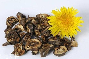 蒲公英泡茶可以放糖嗎？不要只看重味道