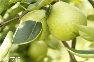 梨子煮熟吃有什么好處？熟梨的常見吃法