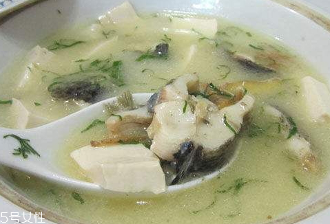 魚湯為什么要用油煎 教你幾招熬出乳白色魚湯 魚湯為什么要用油煎 教你幾招熬出乳白色魚湯