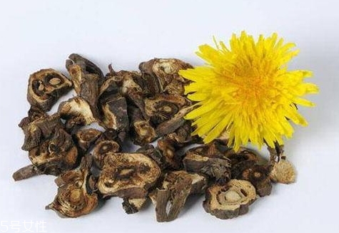 蒲公英泡水會回奶嗎？你應(yīng)該選擇這些食物