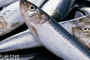 鱈魚(yú)為什么沒(méi)有頭 原因你知道多少