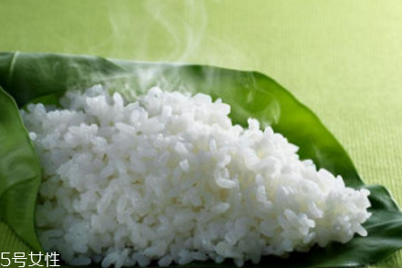 熱水煮飯還是冷水煮飯好？這樣煮飯更好吃