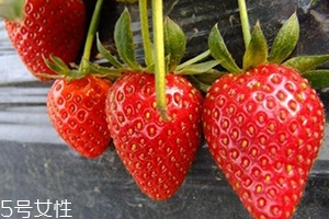 寶寶咳嗽可以吃草莓嗎？看是什么類型的咳嗽