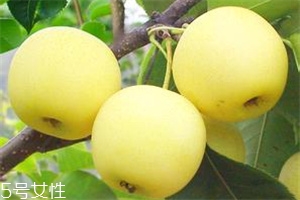 哺乳期吃梨有什么好處？梨子能做面膜