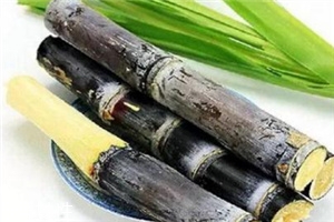 冬季吃甘蔗有什么好處？它被稱為冬季人參