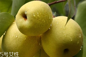 晚上吃梨子會胖嗎？梨不能和開水一起吃