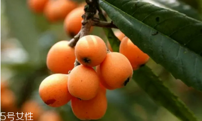 枇杷可以和梨一起吃嗎？桃子和梨不要一起吃