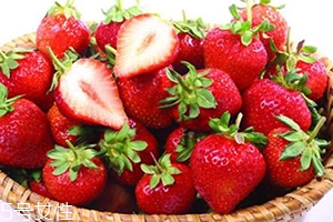 草莓和蘋果可以一起吃嗎？并沒與什么沖突