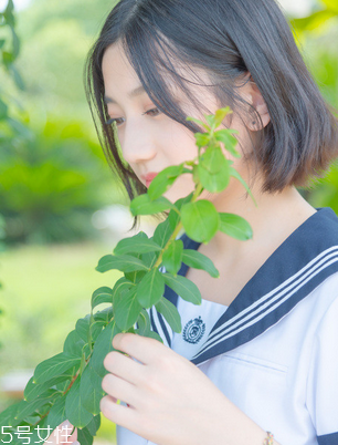 舒爾佳會反彈嗎？減肥不反彈的好方法