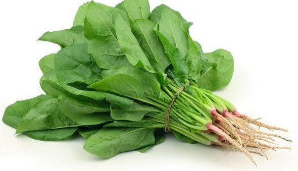 兒童護(hù)眼吃什么好 葉黃素VS維生素A 兒童護(hù)眼吃什么好 葉黃素VS維生素A