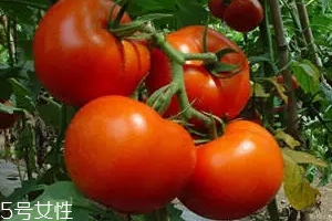 空腹不能吃什么？這4種最好不要吃