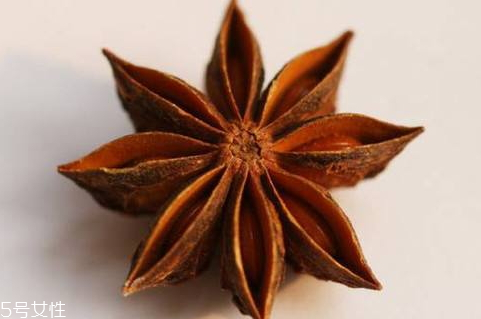 八角不能和什么一起吃 搭配禁忌 八角不能和什么一起吃 搭配禁忌