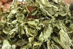 艾葉水可以洗外陰嗎？可以起到殺菌的作用