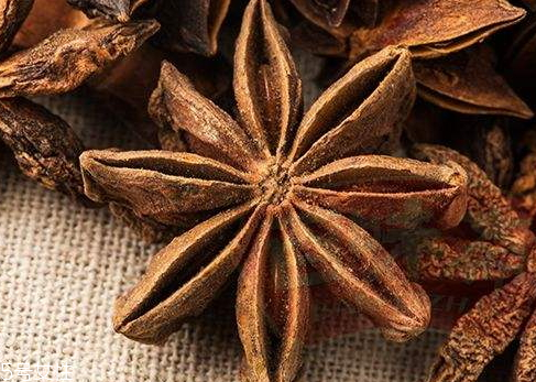 八角可以放冰箱嗎 冰箱的保存技巧 八角可以放冰箱嗎 冰箱的保存技巧