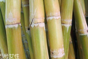 甘蔗吃多了對(duì)牙齒好嗎？有可能損傷牙齒