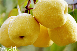 哪些人不宜吃水晶梨？水晶梨的功效與作用