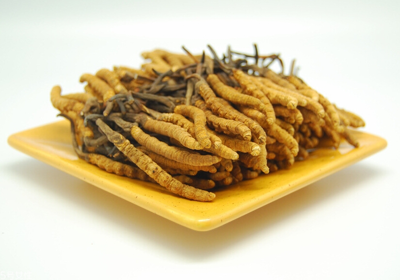吃冬蟲夏草的好處有哪些？四大好處任你選