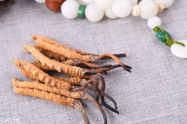 吃冬蟲夏草的好處有哪些？四大好處任你選