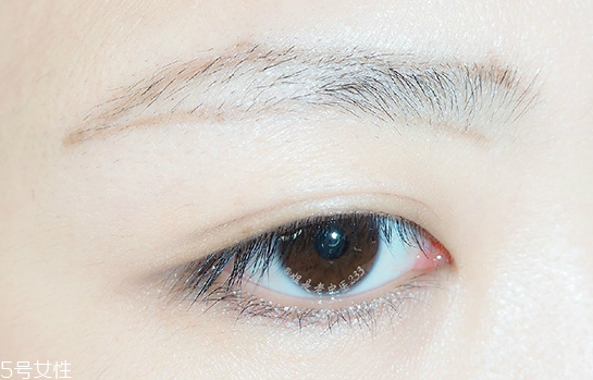 眉毛的畫法詳細圖解 三步定點畫眉 眉毛的畫法詳細圖解 三步定點畫眉