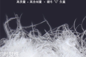 lets diet羽絨褲多少錢？lets diet羽絨褲保暖又修身