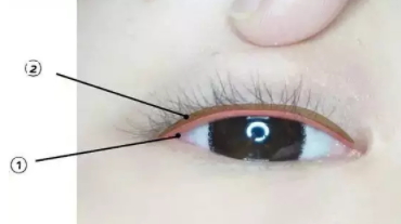 眼線膠筆怎么畫內(nèi)眼線？內(nèi)眼線四部曲圖解