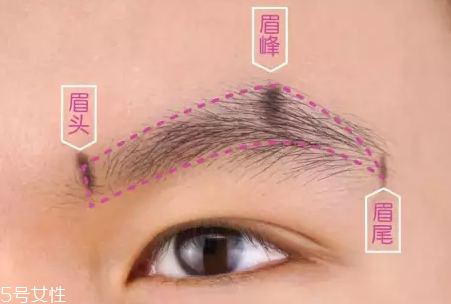 眉型常見失誤有哪些？眉頭壓實(shí)很難看