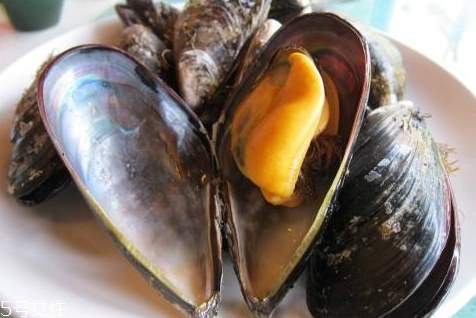 淡菜放冰箱可以吃嗎 淡菜的保存技巧 淡菜放冰箱可以吃嗎 淡菜的保存技巧