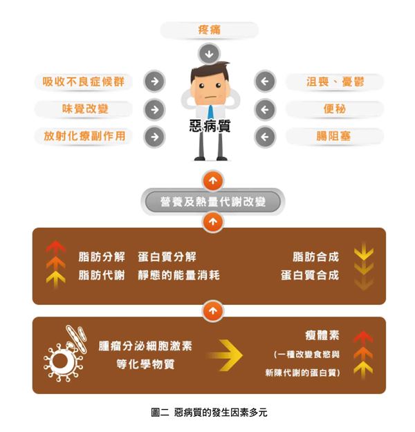 我特別嗜睡是什么原因 12癥狀恐是惡病質作祟